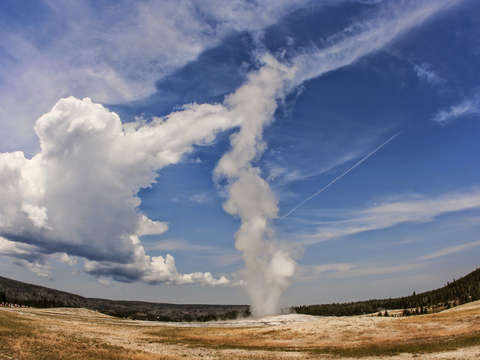Old faithful 2