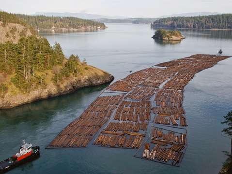 Floating forests