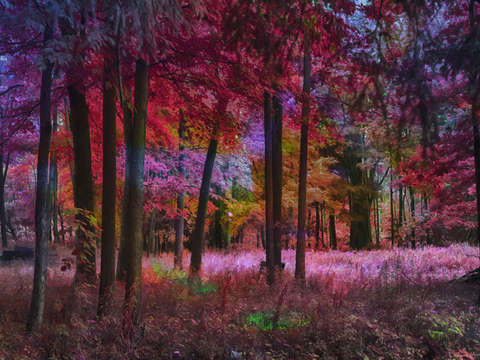Kaleidoscope fall