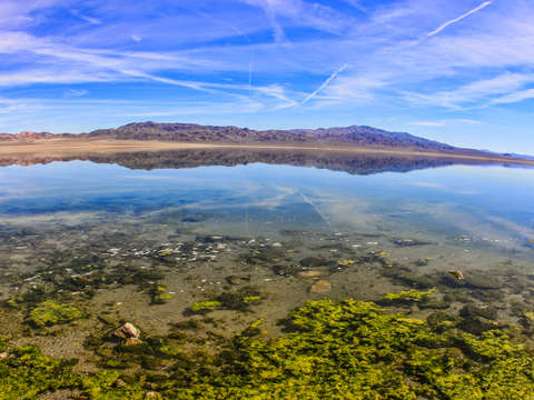 Walker lake nevada 2