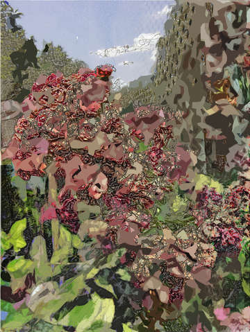 October roses z