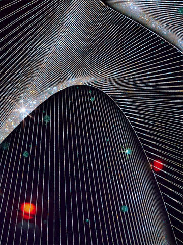 Meridian ii
