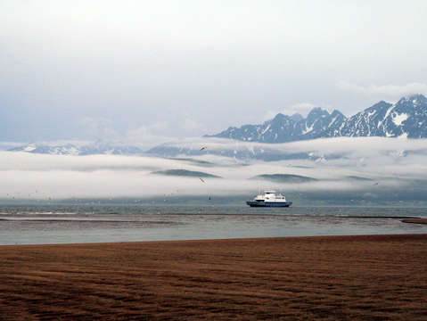 Foggy sea