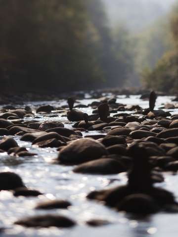 River spirits