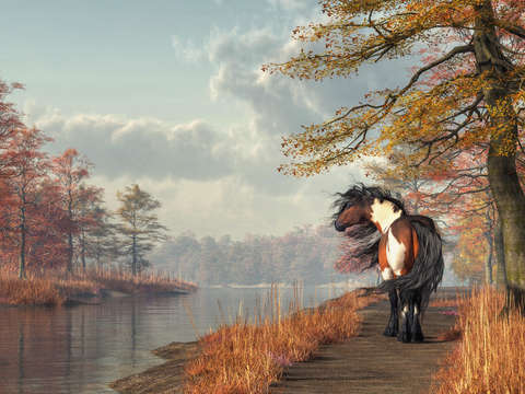 Pinto horse on a riverside trail