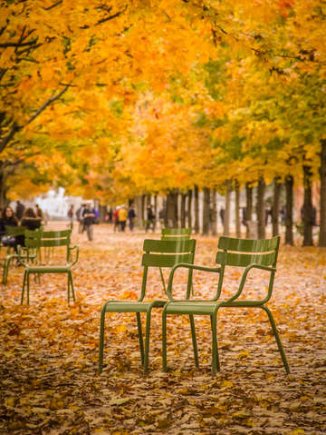 Autumn in jardin des tuileries