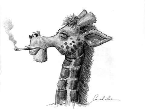 Giraffe with attitude
