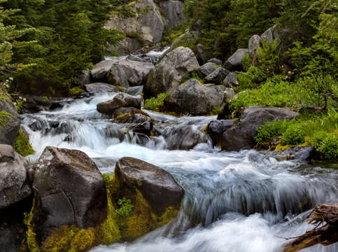 Stream in mount rainier