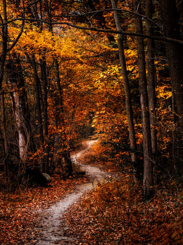 The narrow path