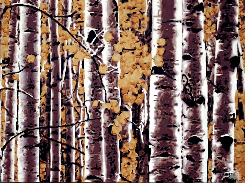 Fall in the aspen grove