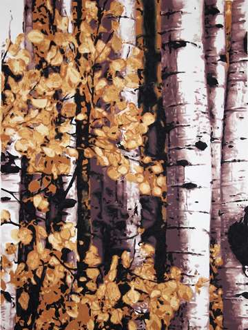 Aspen morning