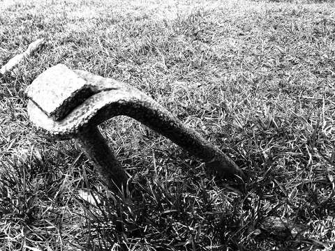 Antique anchor