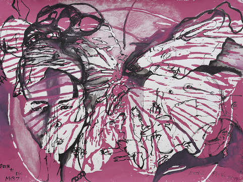 Butterfly or mh