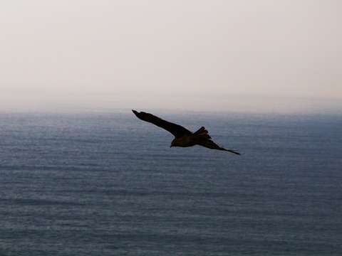 Sagami bay skies 09