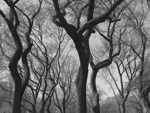 Untitled l1600208
