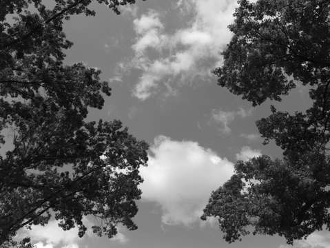 Untitled l1600891