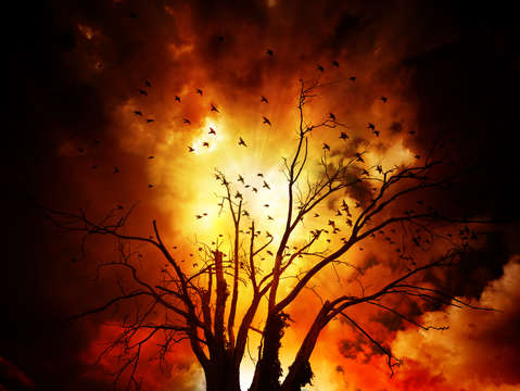 Fire of the sky
