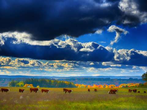 Country autumn