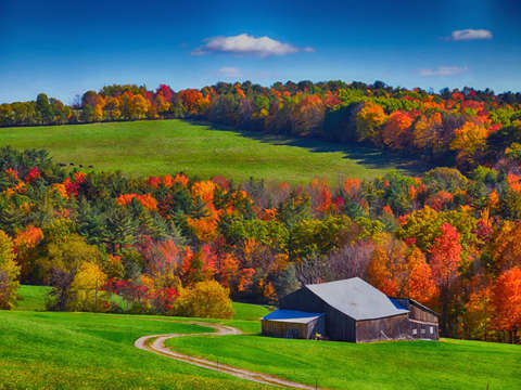 Autumn valley