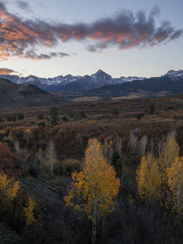 Dallas divide 2
