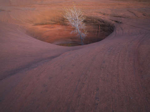 Sandstone oasis