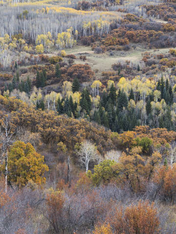 Kebler pass