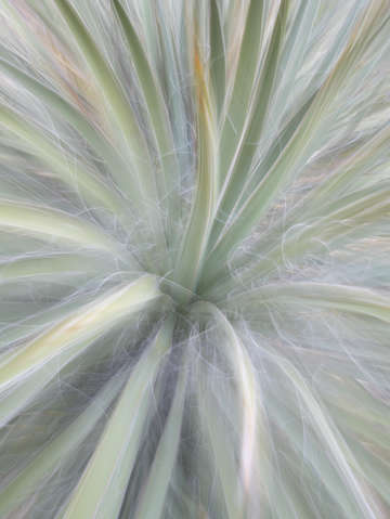 Desert colors 2