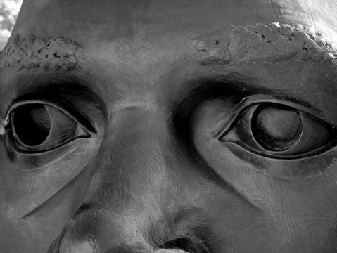 The eyes have it 3