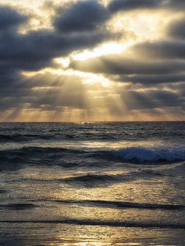 Sunset in vertical