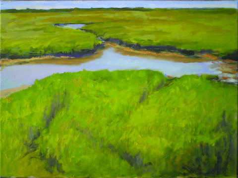 Marsh grass