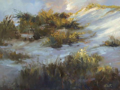 Cranes dune