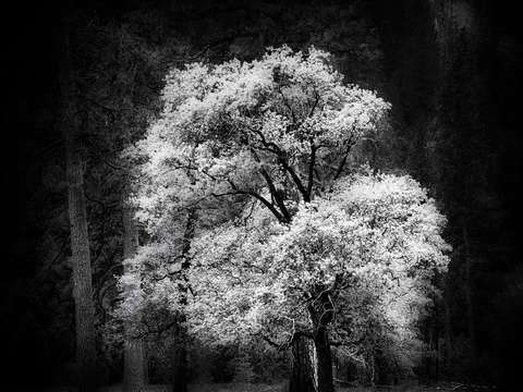 Touch of light