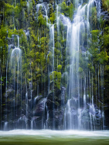 Mossy flow