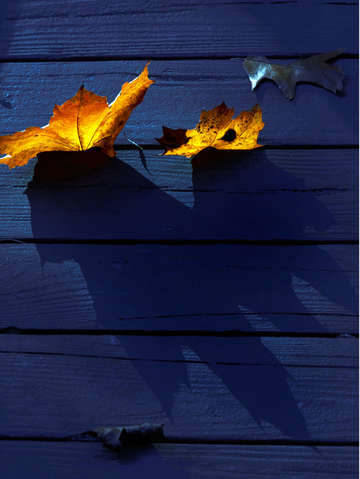 Feeling blue
