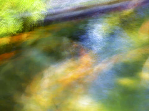 Koi pond