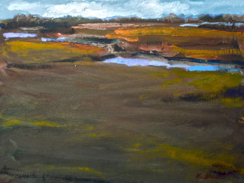 Salt marsh 3