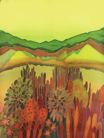 South california cactus sanctuary landscape origin
