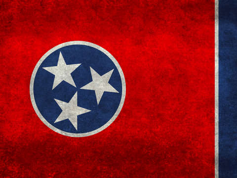 State flag of tennessee vintage