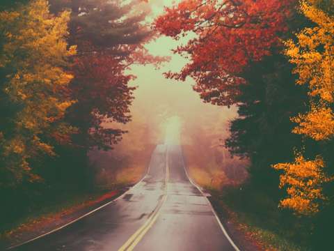 Take a drive