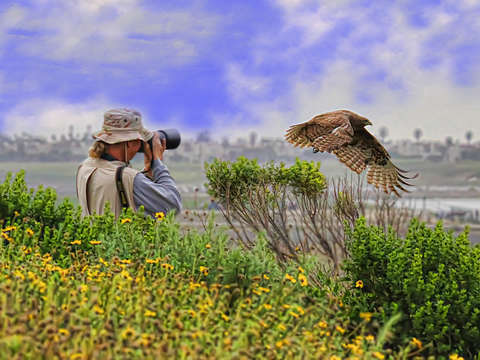 The art of the capture