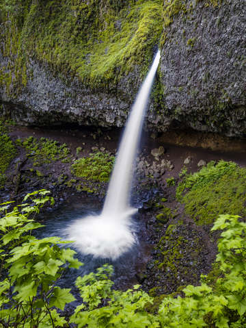 Ponytail falls