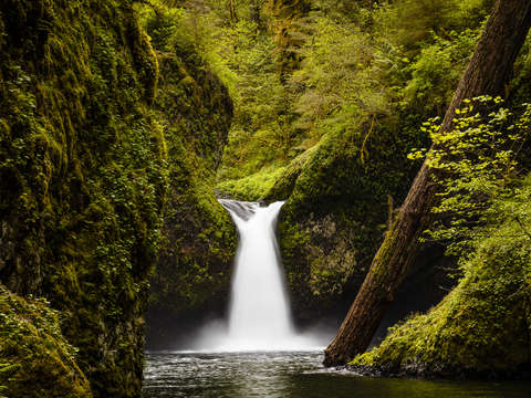Punch bowl falls