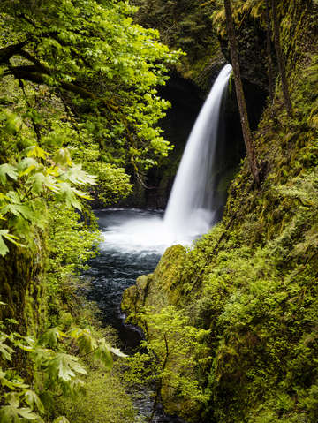 Metlako falls eafle creek