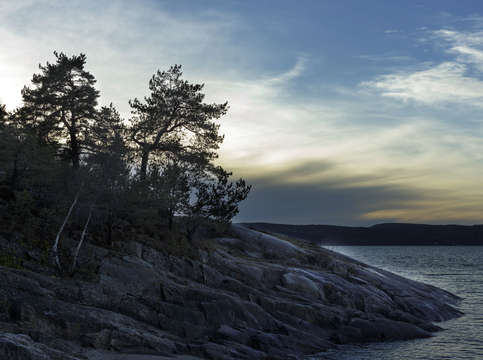 Winter light 4