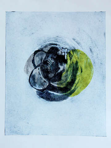 Plastiglomerate accumulation 1