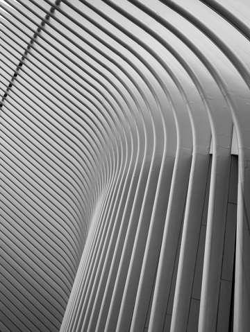 Oculus nyc
