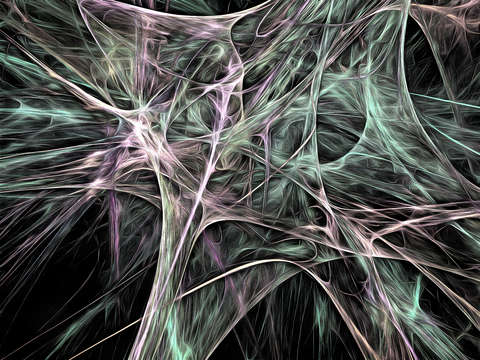 Synapsis abstract