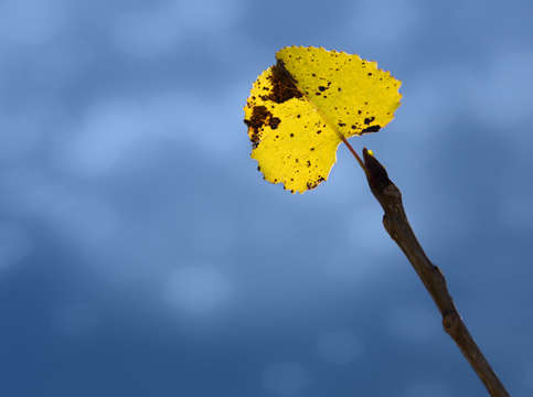 Last light 7
