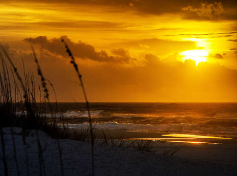 Sunshine on the surf