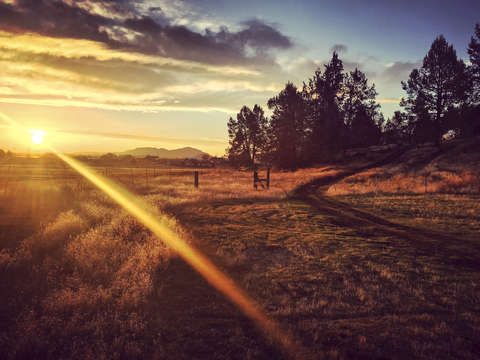 Sunrise at trinity ranch